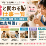猫と関わる仕事一覧｜未経験OKの求人・職種・働ける職場を徹底解説