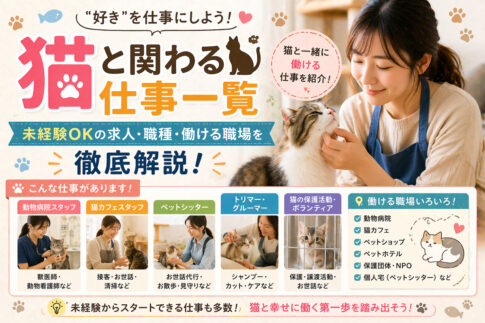 猫と関わる仕事一覧｜未経験OKの求人・職種・働ける職場を徹底解説