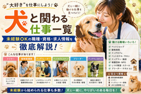 犬と関わる仕事一覧｜未経験OKの職種・資格・求人情報を徹底解説