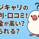 マジキャリの評判口コミ