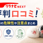 rikunabinext